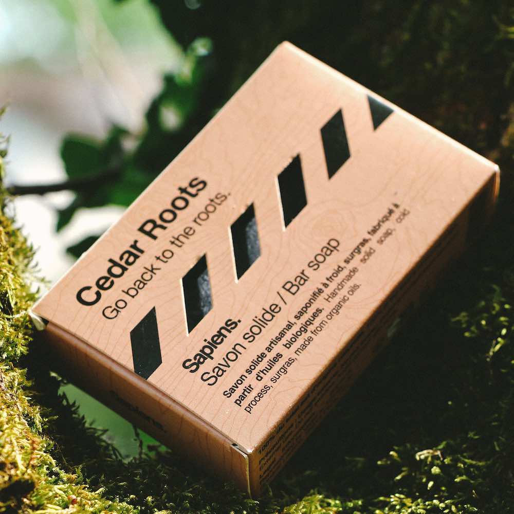 Savon solide Cedar Roots - 100g